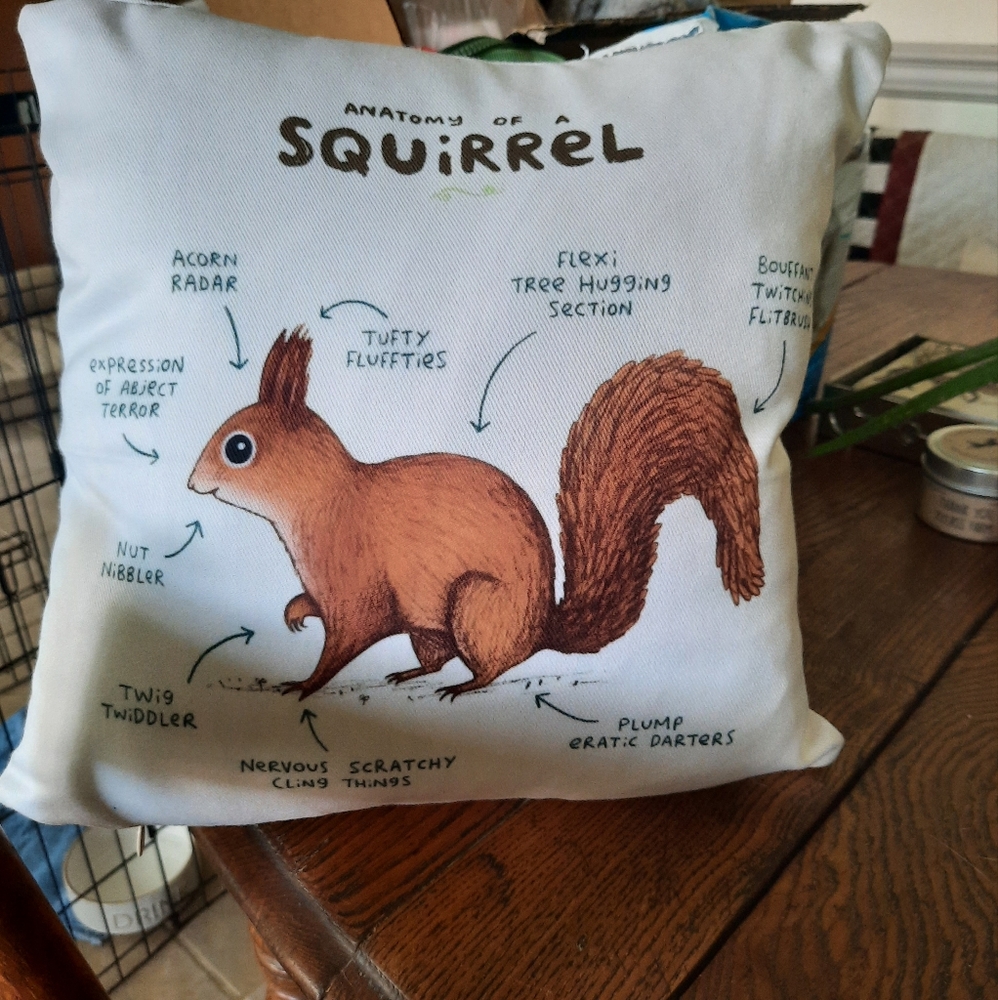 Indoor/outdoor pillow